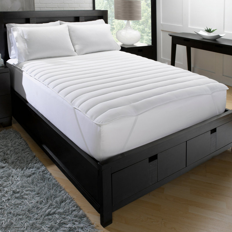 Alwyn Home Big And Soft 1" Polyester Mattress Pad & Reviews Wayfair